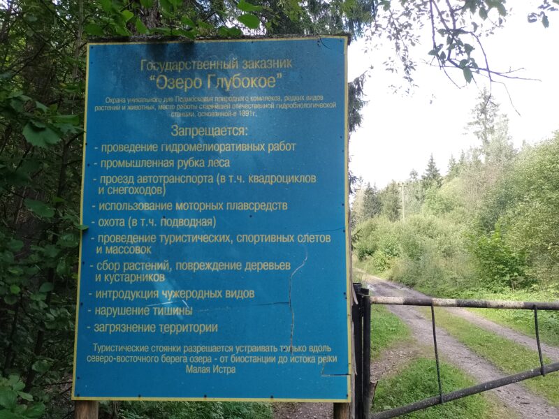 Автодорога (лыжероллеры) Н Горбово — Лызлово, состояние на 28 августа 2025 по отзыву, фото 8. 